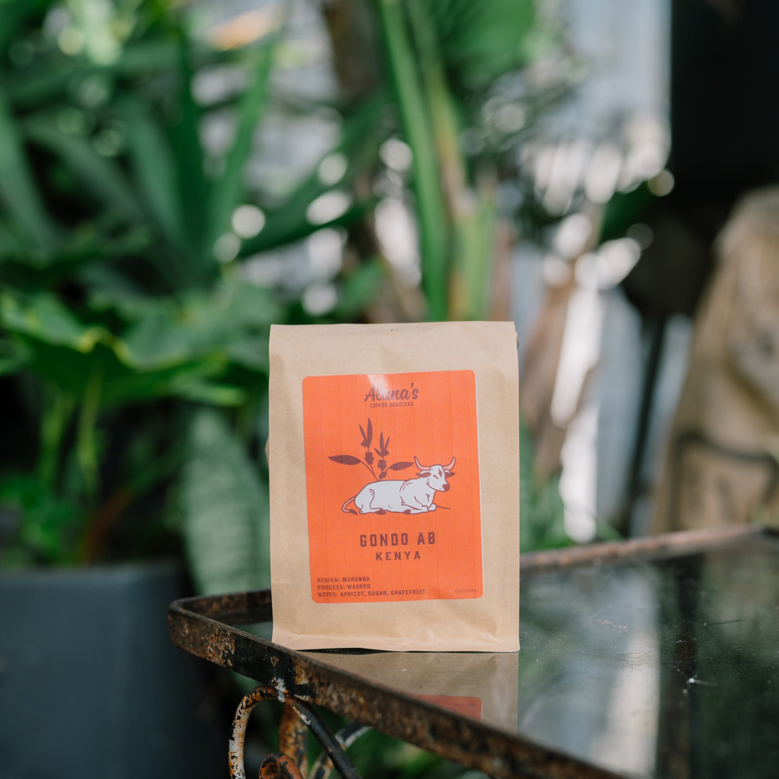 Coffee package with an orange label on a reflective surface with plants in the background