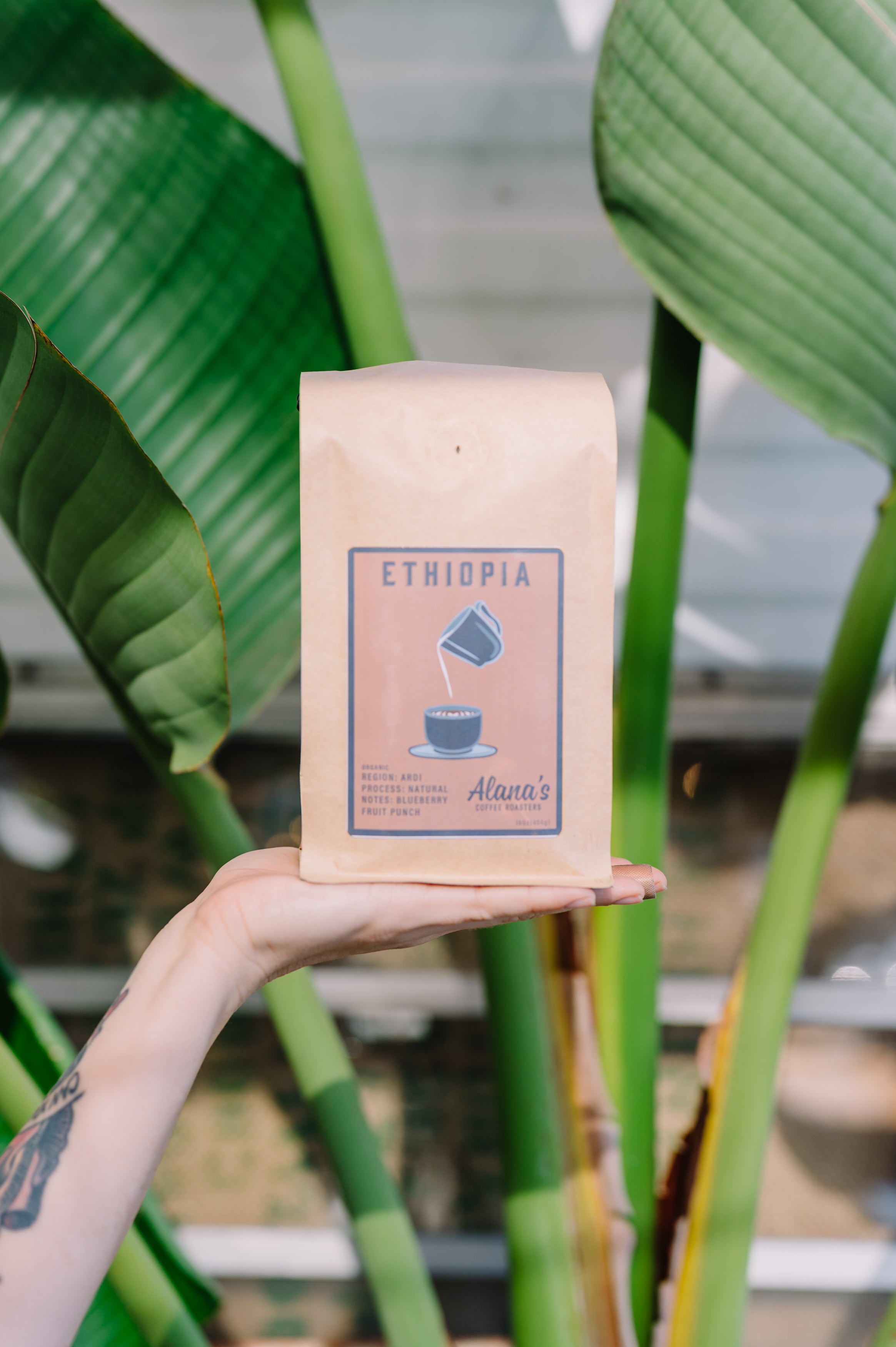 one pound bag of Ethiopia ardi coffee