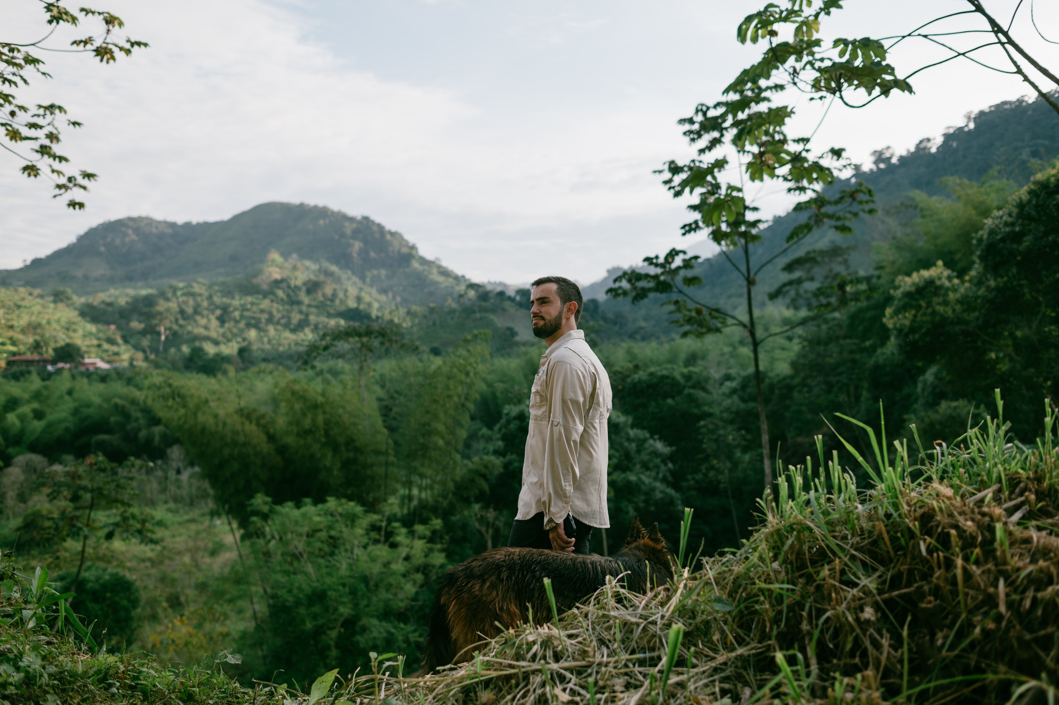 A man stands on a hill amongst the coffee trees in Colombia.