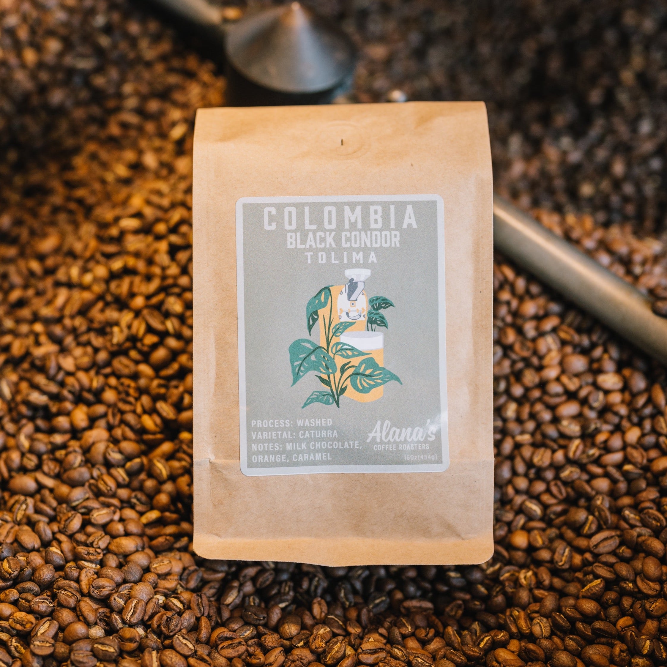 A bag of Alana's Coffee Roasters' Black Condor Colombian coffee beans staged on a pile of beans. The label depicts a coffee machine surrounded by monstera plant leaves on a grey backdrop.